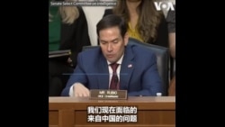 美参院两党情报领袖示警 中国致力于不打仗制伏美国