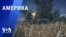 «Америка» – 18 июля 2023 