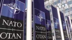 歐洲領導人批評特朗普 有關俄羅斯和北約的言論