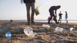 Guyyaa Dachee Kan Ebila 22 Sadarkaa Addunyaatti Ayyaaneeffame Ka Baranaarratti Dhiibbaa Pilaastikiin Dacheetti Fidutti Fuuleffatame  