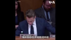 麦肯锡因与中国做生意受到美参议员的严厉质询