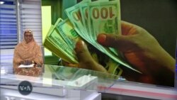 Mun tattauna da Dr. Ahmed Adamu na jami’ar Nile dake Abuja akan dalilin da yasa darajar Naira ke ci gaba da faduwa ba kakkautawa haka