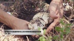 美國專訊 952 (2023年6月3日)