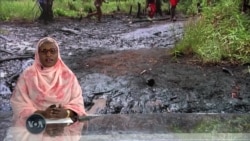 Masu fafutukar kare muhalli da ‘yan cin 'dan Adam sun yi kira ga gwamnatin Najeriya da ta dakatar da ayyukan kasuwancin Shell a Niger Delta 