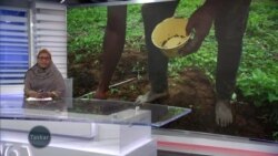 Wasu manoma a jihar Neja dake arewacin Najeriya su na korafin cewa gwanmati ta kwace filayen su ne da karfi ba tare da diyya ba