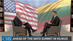 Министр иностранных дел Литвы Габриелюс Ландсбергис на дискуссии в Центре стратегических и международных исследований (CSIS)