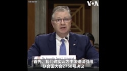 康达：台湾是股向善力量 再次呼吁应让台湾以观察员身份参与世卫大会
