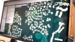 本土研究社指中東人工島沉沒有如”倒錢落海”