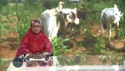 Da dama idan an samu matsalar noma ko samar da abinci a Najeriya gwamnati ta kan kaiwa mutane dauki sai kwararru na ganin akwa bukatar gyara