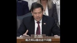 鲁比奥：TikTok给美国用户和社会带来风险