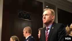 代理防長沙納漢2019年4月11日到參議院作證（美國之音黎堡）