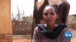 Booranatti Hongeen Loon Kuma Hedduu Ajjeese