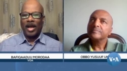 Qaroo Ijaa Malee Dorgommii Kubbaa Miillaa Addunyaa Hordofuun Ni Danda’amaa? 