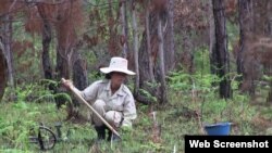 老撾掃雷工作(資料圖片)