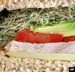 Alfalfa is the fourth most widely grown crop in the United States.