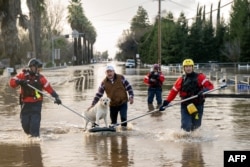 ນັກດັບເພີງຈາກເມືອງ ຊານດີເອໂກ ຊ່ວຍເຫຼືອ ຮໍາເບີໂຕ ມາຊຽລ ດ້ວຍການຊ່ວຍຊີວິດໝາຂອງລາວຈາກເຮືອນທີ່ຖືກນໍ້າຖ້ວມ ໃນເມືອງເມີເຊ, ລັດຄາລິຟໍເນຍ, ວັນທີ 10 ມັງກອນ 2023.