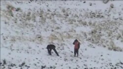 秘魯大雪總統頒佈緊急狀態令