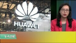 VOA连线(莫雨)：华为涉嫌窃取美公司知识产权，FBI设局找证据