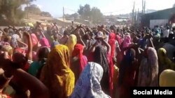 Faayilii - Hiriira Mormii Oromiyaa