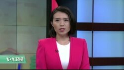 VOA连线：美土外交关系紧张双方暂停受理签证申请