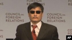 中國盲人活動人士陳光誠(資料圖片)