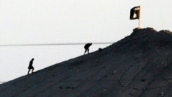 Dhimma Dargaggoota Sumaalee Lammii Ameerikaa Sadi’ii Han Loltuu Aysiis Ta'uudha Karoorfatan Jedhamanii