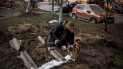 歐盟阻止在俄羅斯和白俄羅斯註冊的車輛進入歐盟