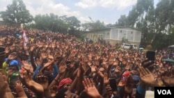 Uummata Amboo hiriira paartii Medrek waame irratti hirmaate