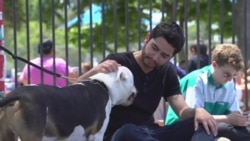 美国万花筒：加州大麻合法化 顾客盈门；专家告诫社交媒体对孩子的心理危害；2018CES展上机器人“脾气大”