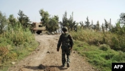 敘利亞官方通訊社發布的照片​​顯示，敘利亞政府軍士兵2015年10月15日走在哈馬的西北部鄉村的一條路上。