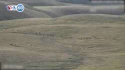 VOA國際60秒：2022年9月13日