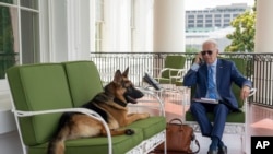 美国总统拜登在新冠隔离期间在白宫阳台上与白宫幕僚长电话交谈（2022年7月25日）