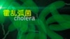 霍乱弧菌 Cholera-Causing Bacteria