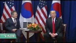 美国观察 2019年4月11日