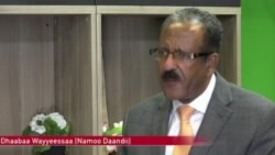 Kutaa 2ffaa: Guddina Tiyaatira Itiyoophiyaa fi Gahee Oromootaa