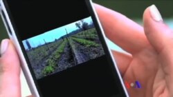 美國專訊 652 (2016年10月30日)