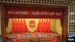 中国第十二届全国人大第一次全体会议