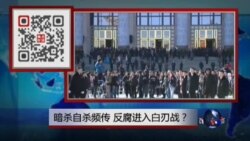 VOA卫视（2015年4月25日 第二小时节目：焦点对话 完整版（重播）)