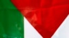 巴勒斯坦的旗帜