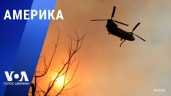 «Америка» – 13 января 2025 