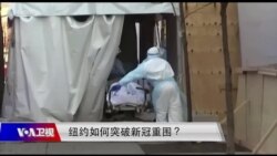 时事大家谈：纽约如何突破新冠重围？