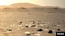 美國太空總署"毅力號"火星車拍攝到的"機智號"第三次飛行。(2021年4月25日)