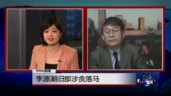 VOA连线: 李源潮旧部涉贪落马