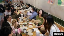 中國上海的寵物狗主人們在一家餐館給愛犬過春節聚餐會。(2025年1月25日)