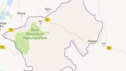 Baaletti bonii jabaatee namaa fi horiin hedduun gargaarsa eegata