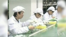 美专家: 中国排挤外国IT违反自贸协议