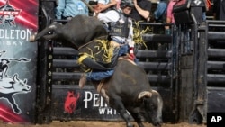 Амадеу Кампус Сильва