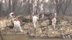 加州野火已经造成66人死亡