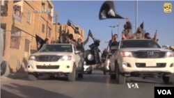 ISIS（资料照片）