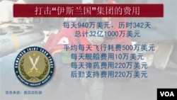 打击“伊斯兰国”集团的费用
